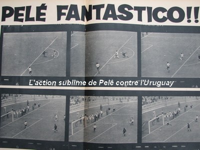 Pele Fantastico